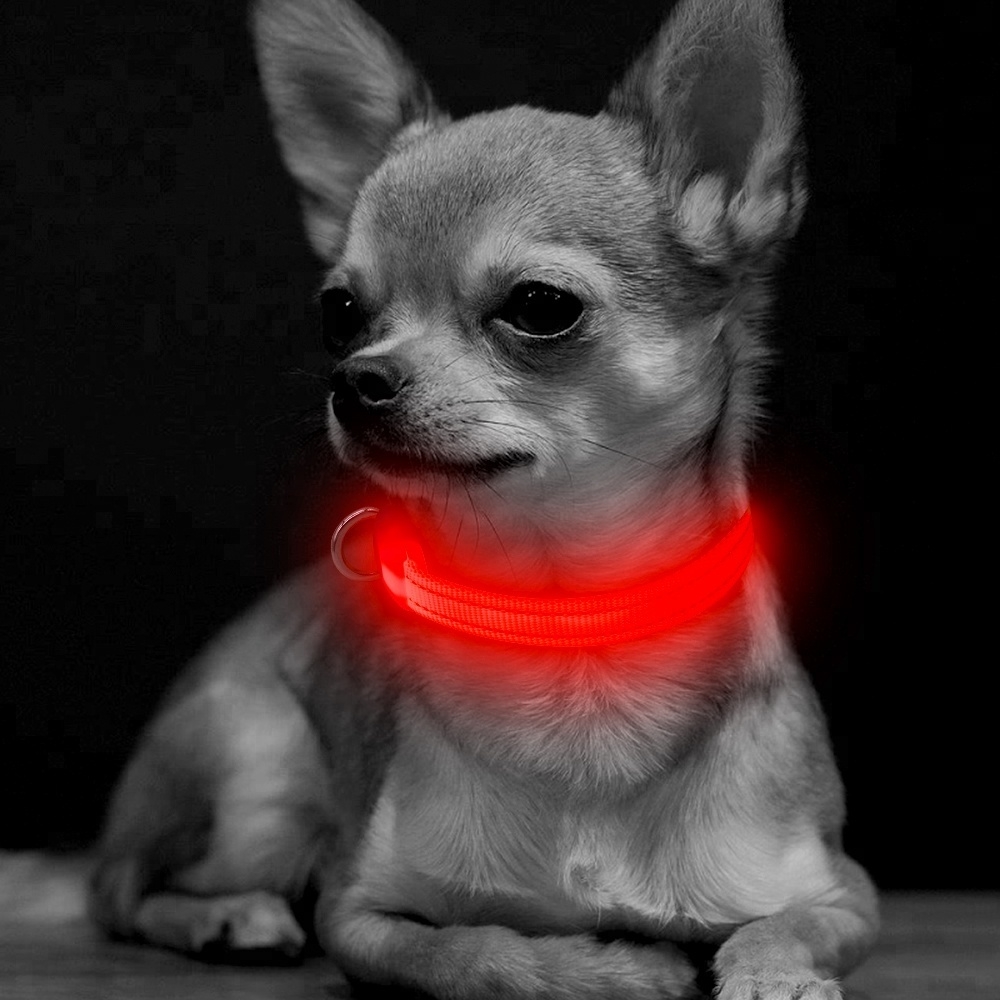 Pametna pasja ovratnica LED (Rdeča) XS-Extra small