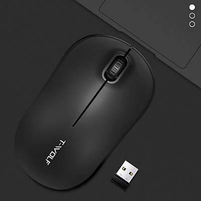 Brezžična miška Q4 Quiet 2.4G (black)